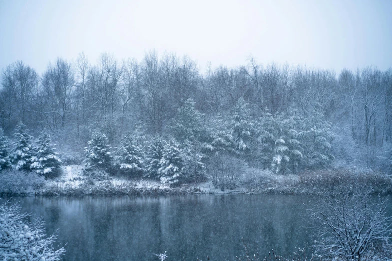 a body of water surrounded by trees covered in snow, inspired by Elsa Bleda, outdoor photo, mixed art, slide show, gray