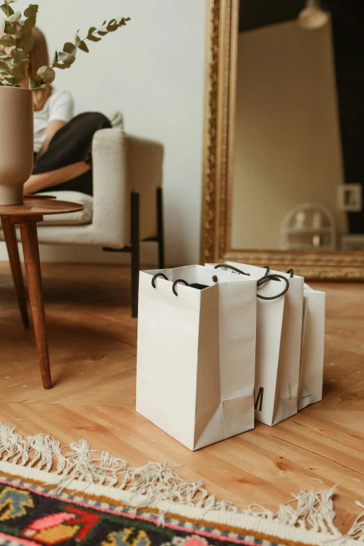 a couple of bags sitting on top of a wooden floor, pexels contest winner, modernism, people shopping, interior of a small, on high-quality paper, brown and white color scheme