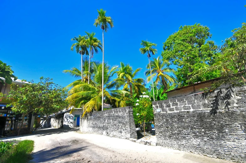 a street lined with palm trees next to a stone wall, white beaches, colourful jungle, afar, clear blue skies