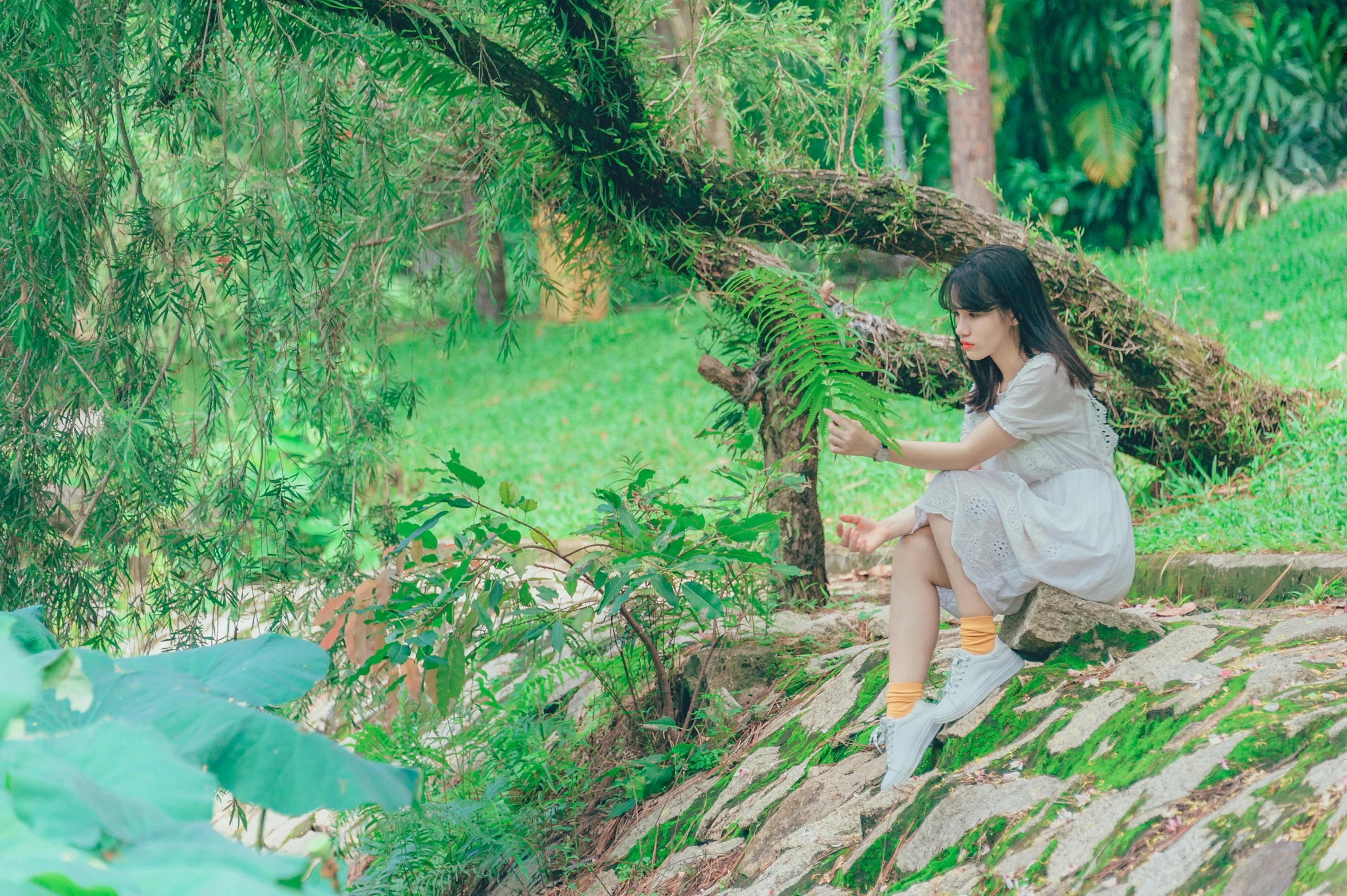 a woman sitting on a rock next to a tree, by Tan Ting-pho, unsplash, realism, romantic greenery, ulzzang, avatar image, panoramic view of girl