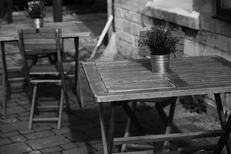 a potted plant sitting on top of a wooden table, a black and white photo, cafe tables, shot with a arriflex 35 ii, square lines, spring evening