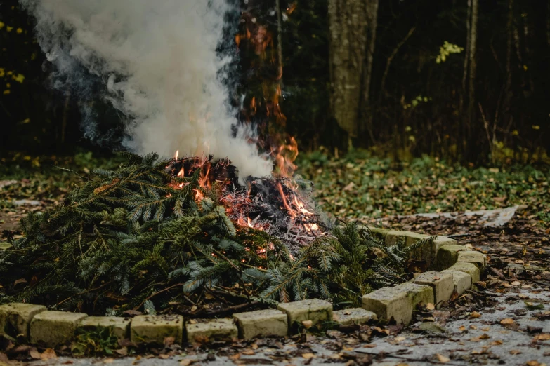 a fire with smoke coming out of it, pexels contest winner, land art, trap made of leaves, holiday season, avatar image, ceremonial ritual