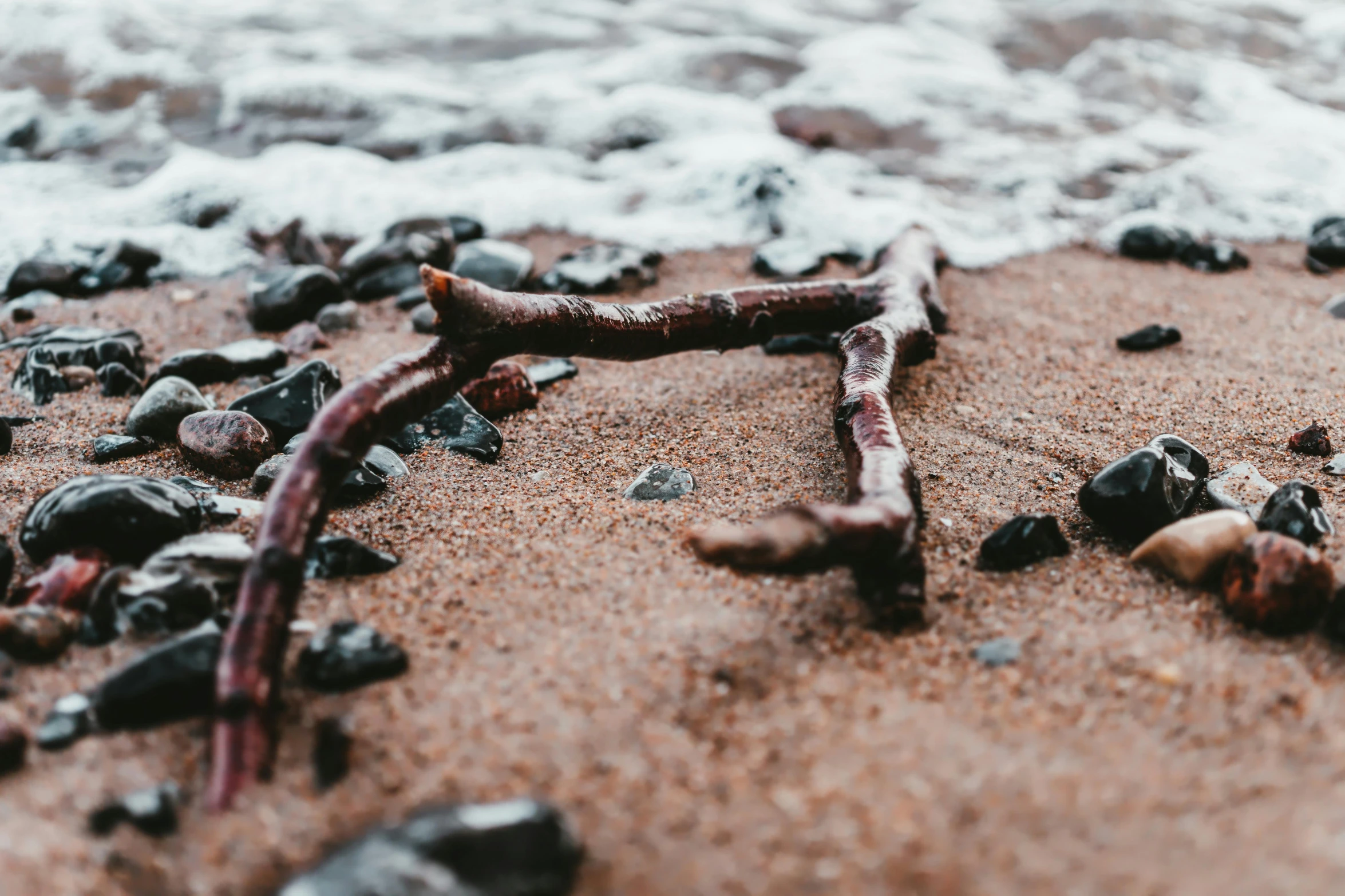 a couple of sticks laying on top of a sandy beach, unsplash, land art, bent rusted iron, background image, vine twist, rocky seashore