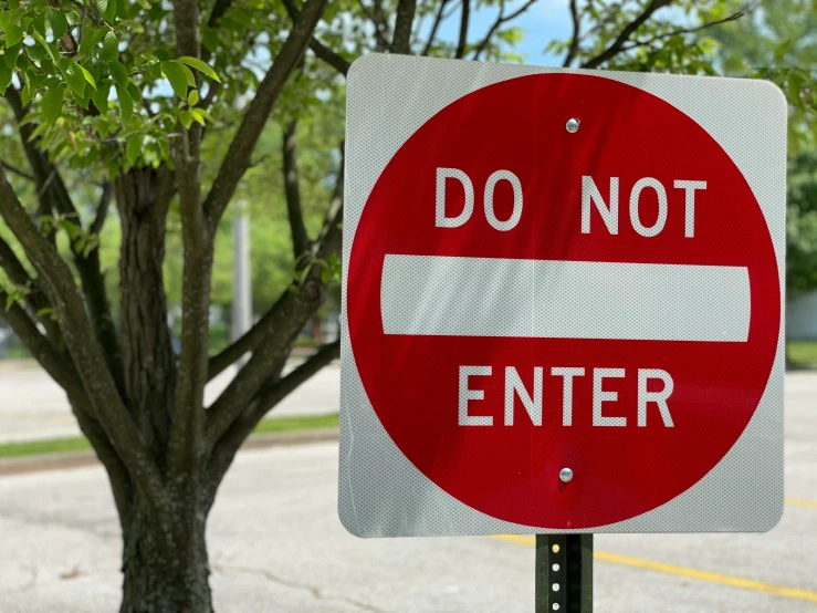 a do not enter sign in front of a tree, pexels, auto-destructive art, traffic signs, 2 0 2 2 photo, 5 feet away, gray