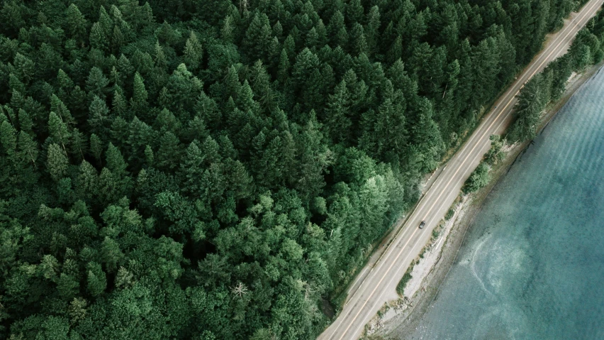 an aerial view of a road next to a body of water, by Carey Morris, pexels contest winner, evergreen forest, vancouver, beach trees in the background, a green