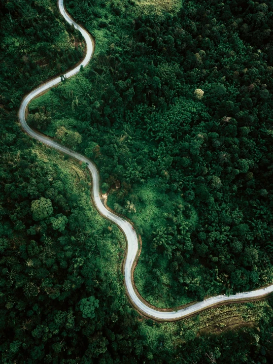 a winding road in the middle of a forest, unsplash contest winner, flying above a tropical forest, profile image, aerial footage, thumbnail