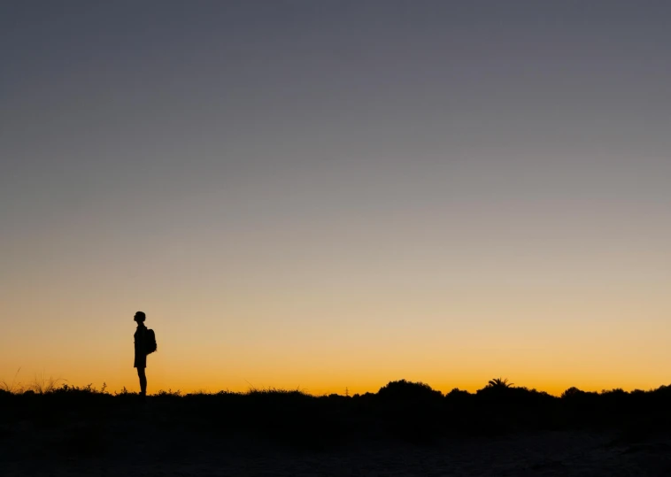 a person standing on top of a hill at sunset, by Peter Churcher, unsplash contest winner, minimalism, night time australian outback, profile image, full body profile, silhouette :7