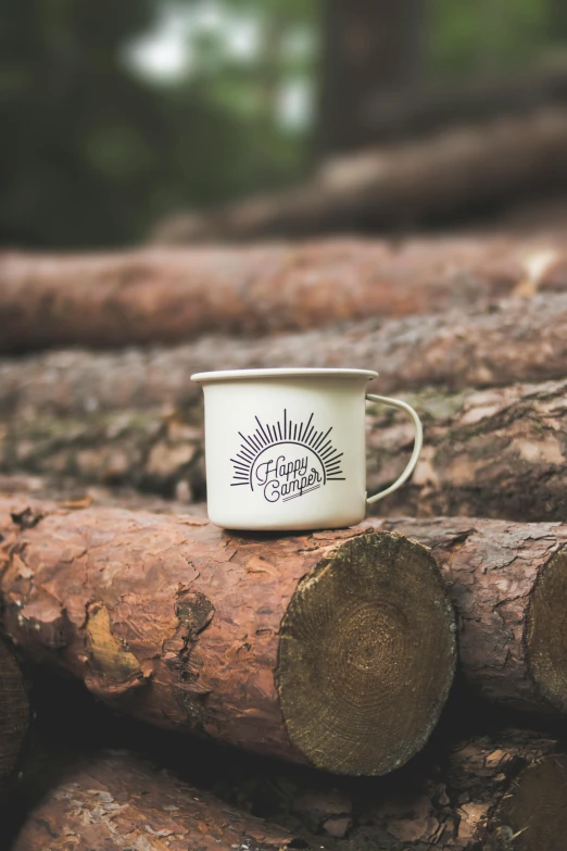 a cup sitting on top of a pile of logs, by Jessie Algie, unsplash, white mug, sun flairs, tin can, engraved