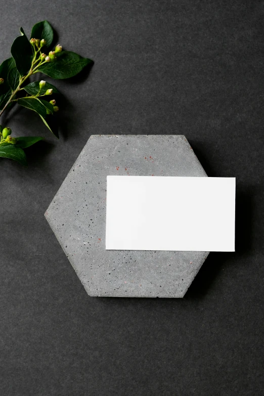 an empty business card next to a plant on a black surface, pexels contest winner, concrete art, hexagonal pattern, bright white porcelain, 15081959 21121991 01012000 4k, made of concrete