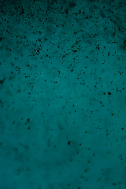 a close up of dirt on a blue surface, an album cover, inspired by Elsa Bleda, dark emerald mist colors, splattered black goo, video game texture, blue fireflies