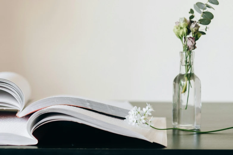 an open book sitting on top of a wooden table, trending on unsplash, private press, vase with flowers, looking left, trying to read, catalogue photo