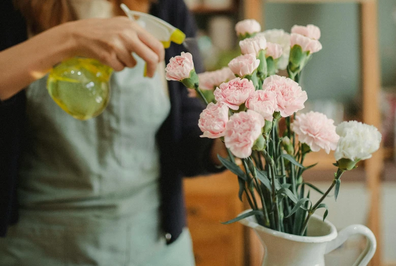 a woman sprays flowers in a vase, pexels, pink and green, fan favorite, carnation, watering can