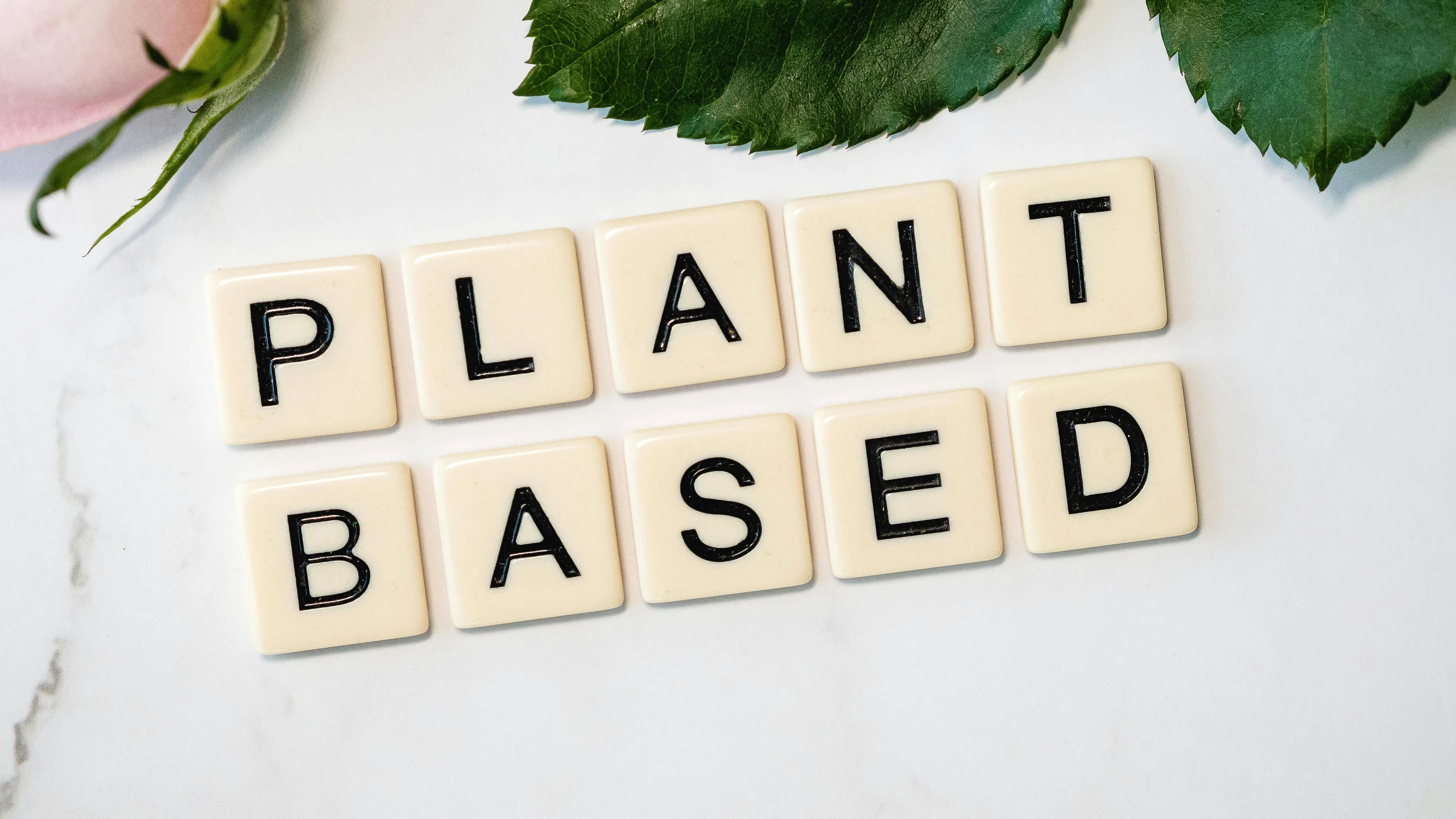 the word plant based spelled in scrabbles next to a rose, inspired by John Platt, trending on unsplash, cats and plants, tree and plants, industrial plant environment, ¯_(ツ)_/¯