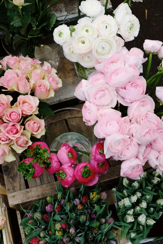 a bunch of flowers sitting on top of a table, pinks, market, various sizes, no cropping