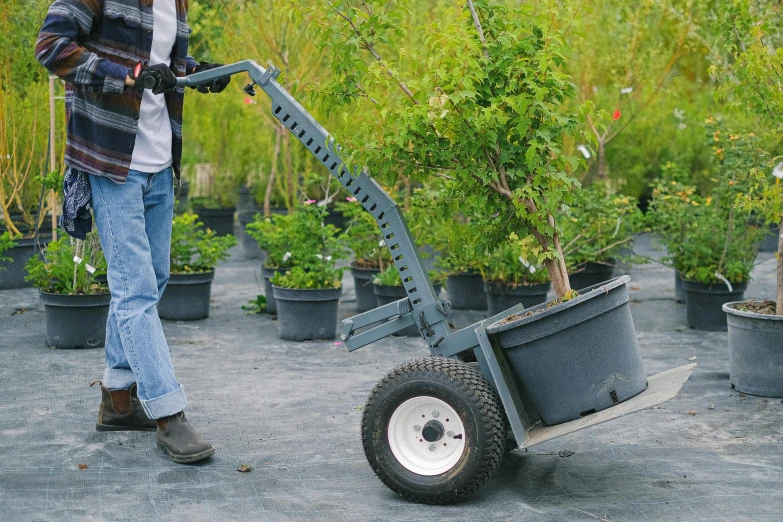 a man pushing a cart filled with potted plants, with fruit trees, steel gray body, gilleard james, profile image