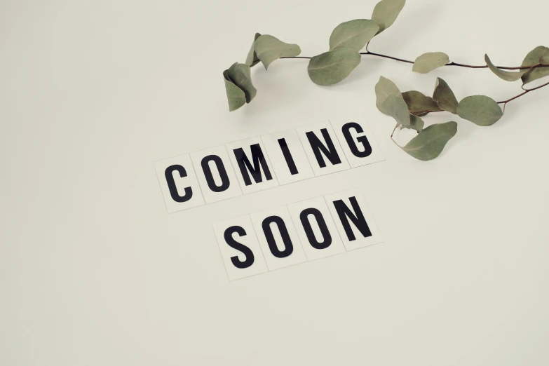 a plant sitting on top of a table next to a coming soon sign, by Andries Stock, trending on unsplash, happening, made of all white ceramic tiles, light grey backdrop, scattered props, background image