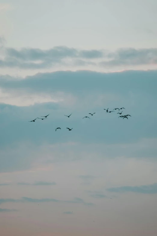 a flock of birds flying through a cloudy sky, flickr, cranes, 15081959 21121991 01012000 4k