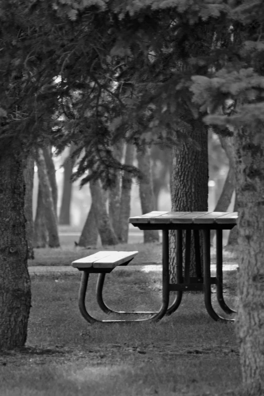 a black and white photo of a picnic table in a park, flickr, mysterious!, vladimir krisetskiy, ((trees)), ( ( photograph ) )