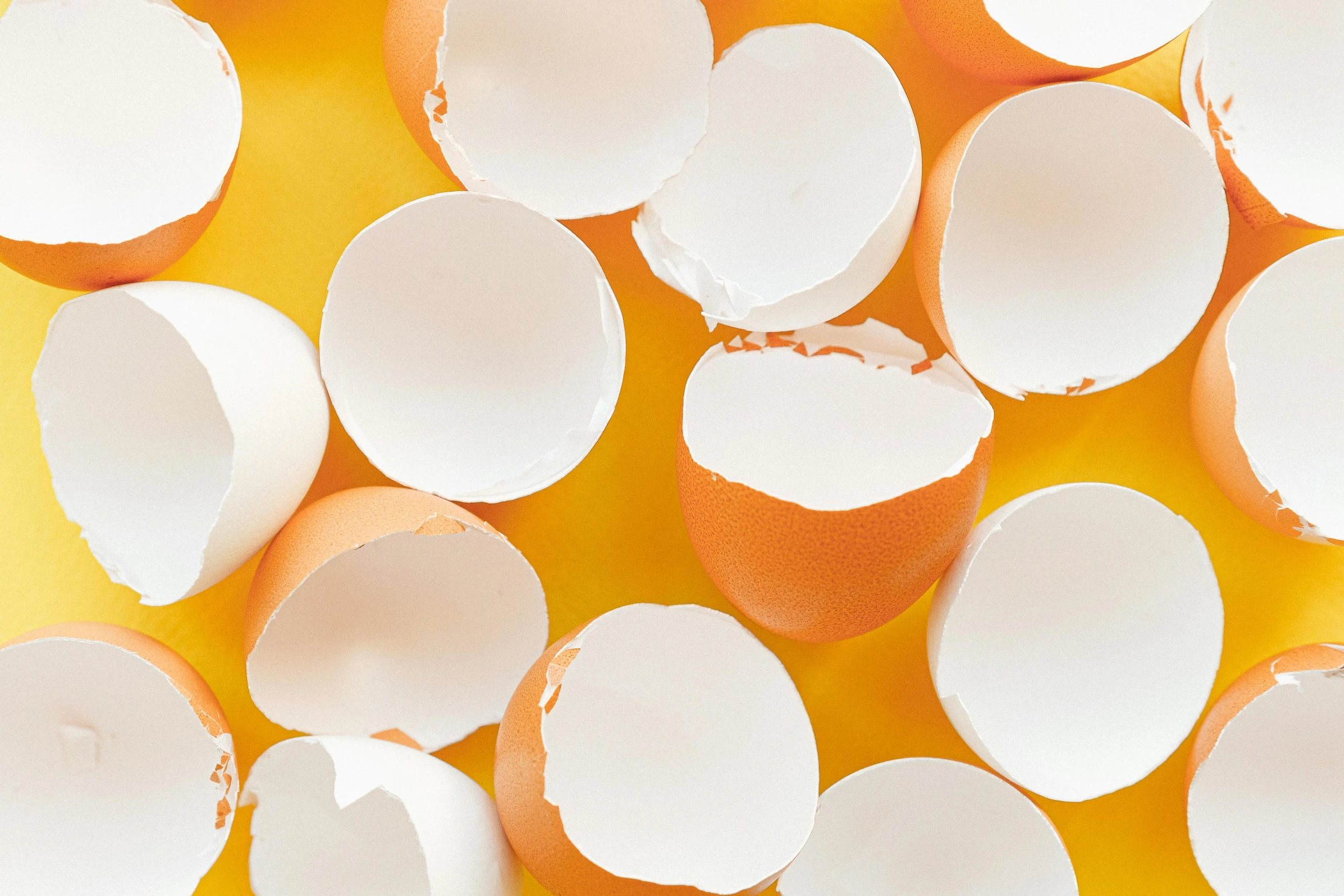 a bunch of eggs sitting on top of a yellow surface, by Ellen Gallagher, trending on pexels, torn paper edges, white and orange, round-cropped, cut-away