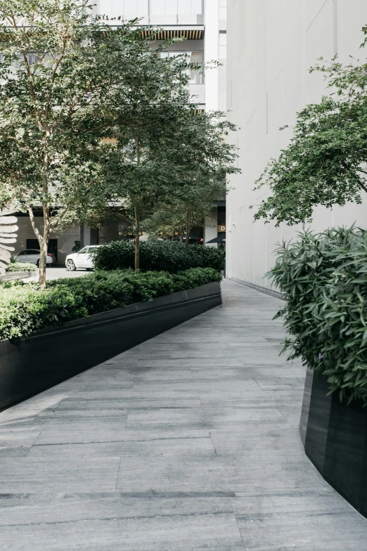 a couple of planters sitting next to each other on a sidewalk, inspired by David Chipperfield, unsplash contest winner, trees. wide view, stone tile hallway, black and green scheme, flowerbeds