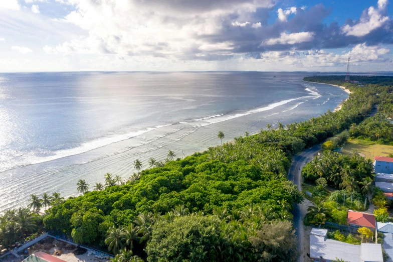 a view of the ocean from a bird's eye view, hurufiyya, beach trees in the background, conde nast traveler photo, tawa trees, wide wide shot