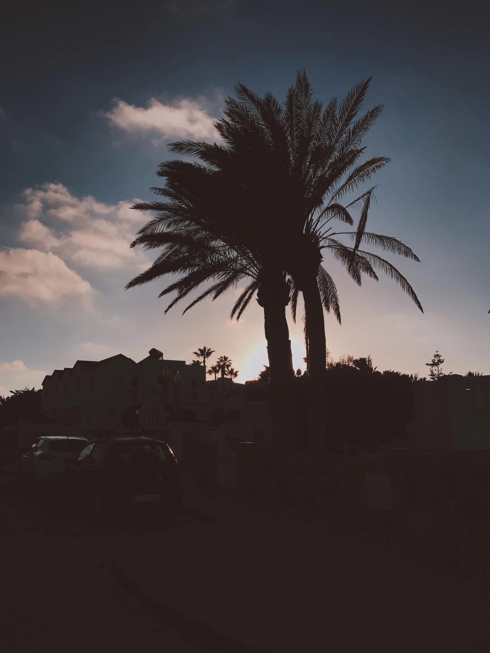 the sun is setting behind a palm tree, by Alexis Grimou, unsplash contest winner, aestheticism, ☁🌪🌙👩🏾, moody shadows, view from the streets, low quality photo