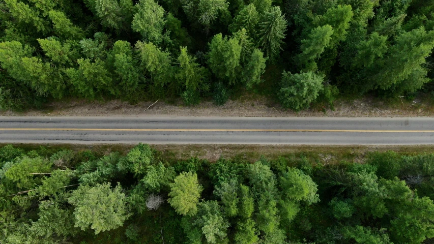 an aerial view of a road surrounded by trees, by Jaakko Mattila, pexels contest winner, photorealism, ai weiwei and gregory crewdson, 2 5 6 x 2 5 6 pixels, forest green, wide film still