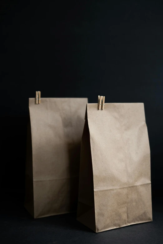 two brown paper bags sitting next to each other, a portrait, unsplash, on black background, recipe, dwell, porcelain