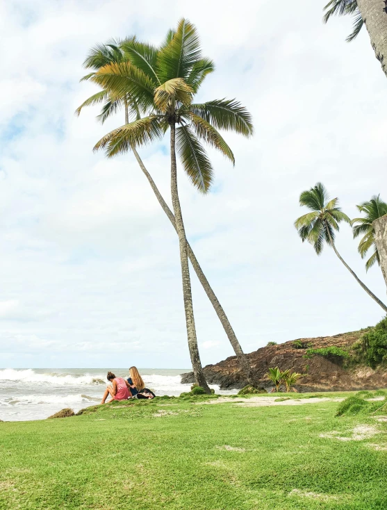 a couple of people sitting on top of a lush green field, palm trees on the beach, sarenrae, red sand beach, college