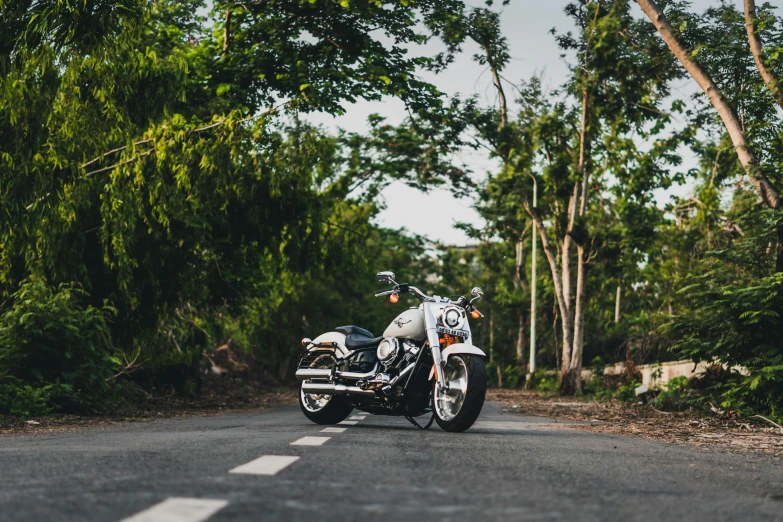 a motorcycle is parked on the side of the road, pexels contest winner, against the backdrop of trees, white, classic chrome, big island