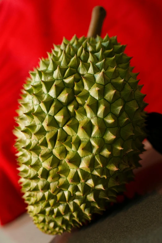 a close up of a durian fruit on a table, an album cover, inspired by Li Di, flickr, spikes on the body, spines and towers, silk, holiday