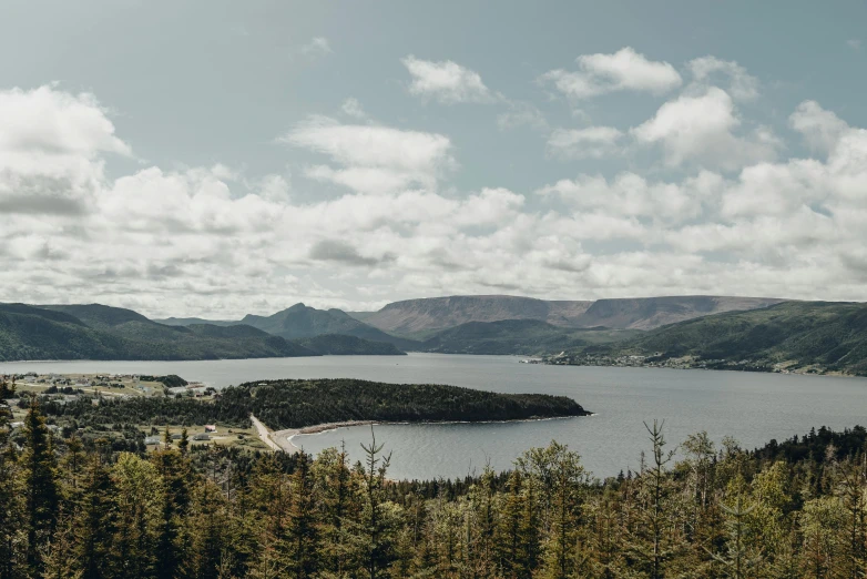 a large body of water surrounded by trees, by Carey Morris, pexels contest winner, les nabis, fjords in background, gauthier leblanc, panorama distant view, flatlay