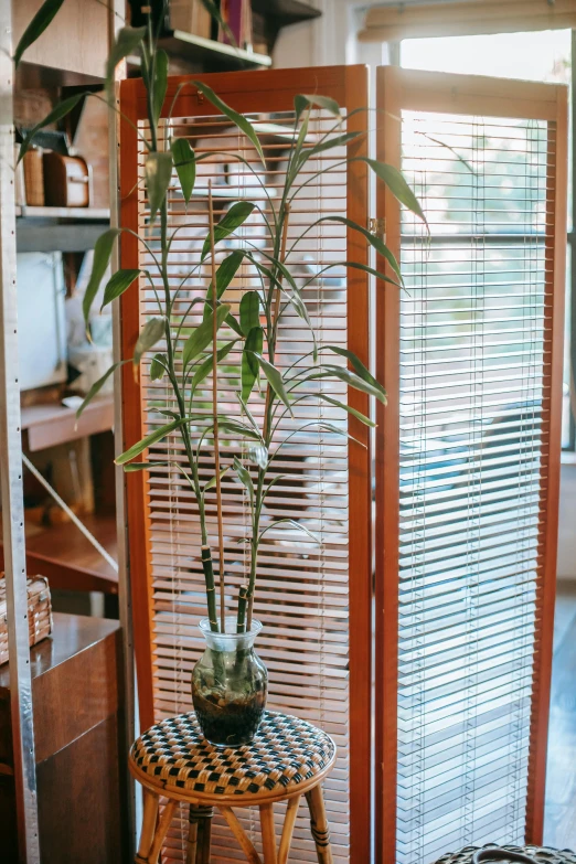 a small table with a potted plant on top of it, of bamboo, large open windows, 15081959 21121991 01012000 4k, ballard