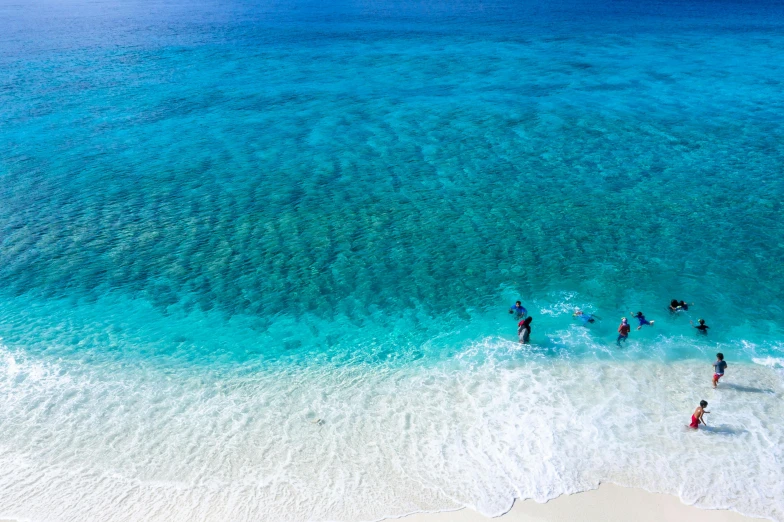 a group of people swimming in the ocean, crystal clear blue water, ben nicholas, amazing colours, birdeye