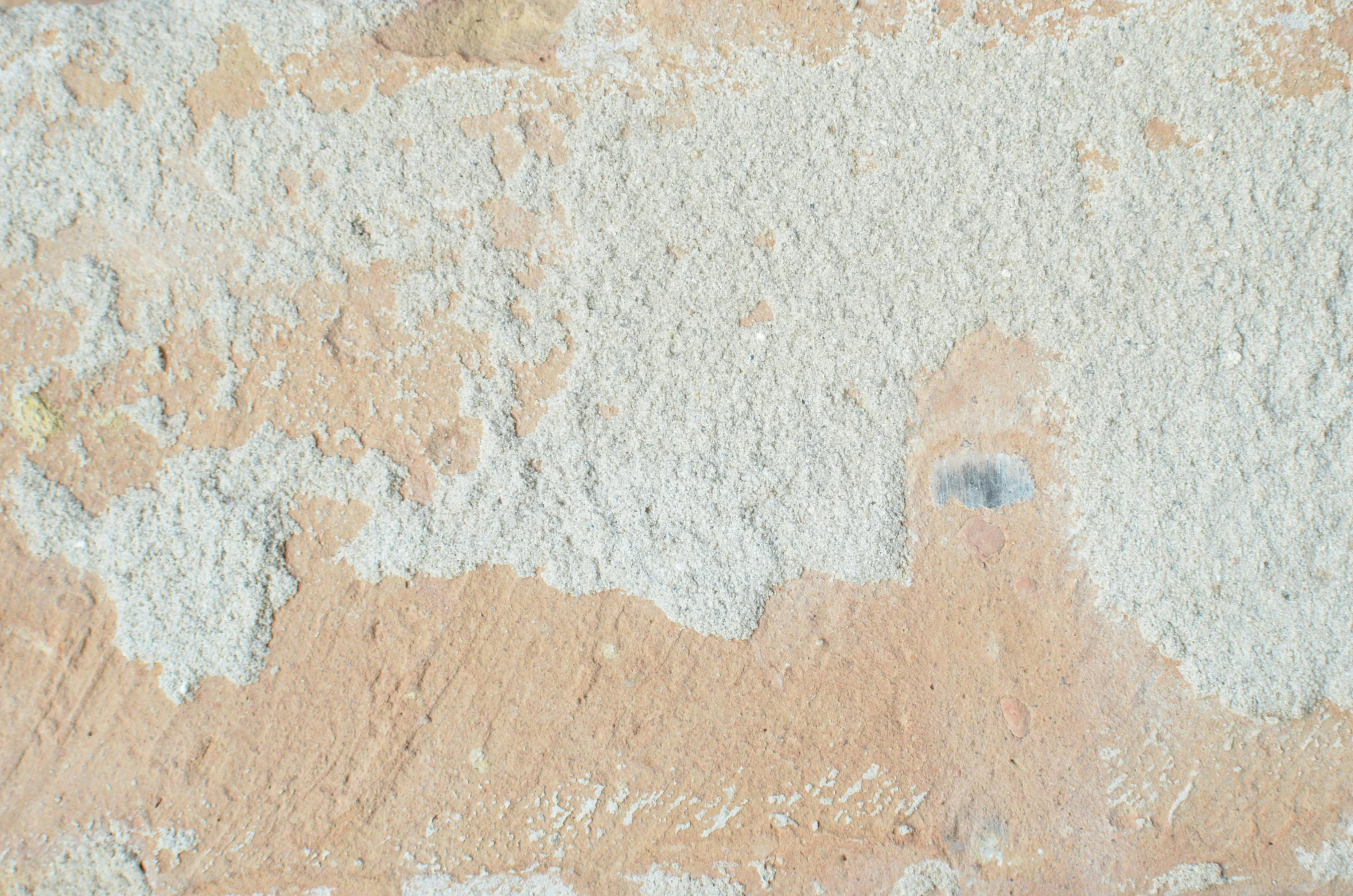 a cat that is laying down on the ground, an album cover, inspired by Euan Uglow, unsplash, graffiti, texture of sand, background image, fine texture detail, pastel pink concrete