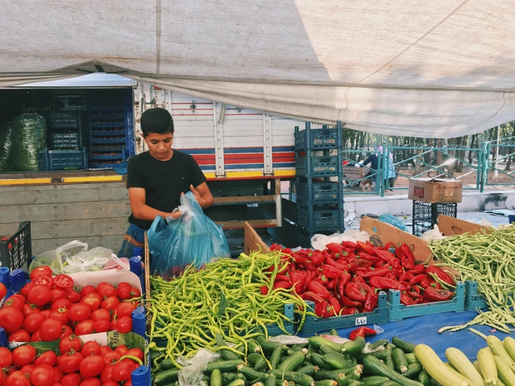 a man standing in front of a table full of vegetables, meni chatzipanagiotou, ue marketplace, on a sunny day, blue and green and red tones