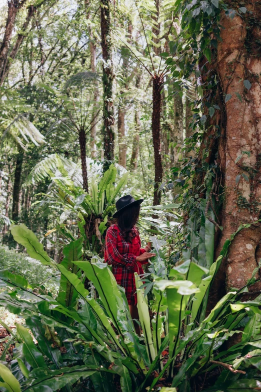 a woman standing in the middle of a lush green forest, sumatraism, tamborine, next to a plant, foliage clothing, bromeliads