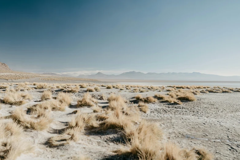 a dry grass field with mountains in the background, unsplash contest winner, land art, white desert background, background image, clear skies, constructed upon salar de uyuni