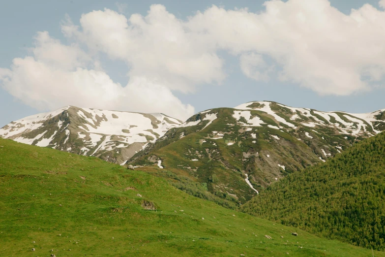 a herd of cattle grazing on a lush green hillside, an album cover, by Muggur, pexels contest winner, les nabis, snowy apennines, view, reza afshar, seen from outside