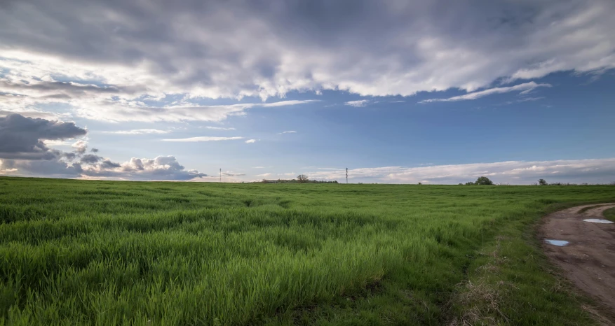 a dirt road running through a lush green field, a portrait, unsplash, hdri, spring evening, large scale photo, skies