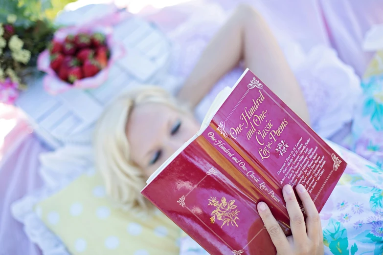 a woman laying on a bed reading a book, inspired by Elsa Beskow, rich deep pink, picnic, ever after high, outside on the ground