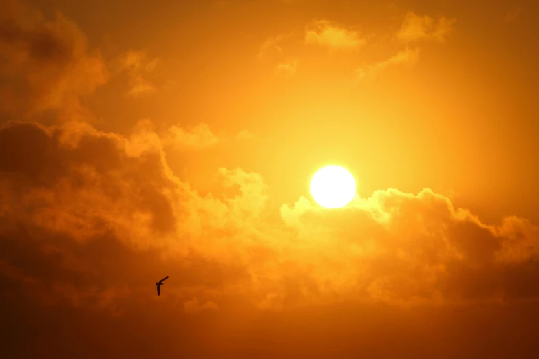 a bird is flying in front of the sun, pexels contest winner, romanticism, heat waves, yellow clouds, yellow, hot and humid