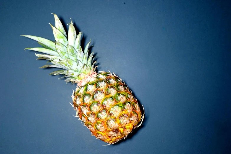 a pineapple sitting on top of a blue surface, on a black background, looking towards the camera, highly upvoted, recipe