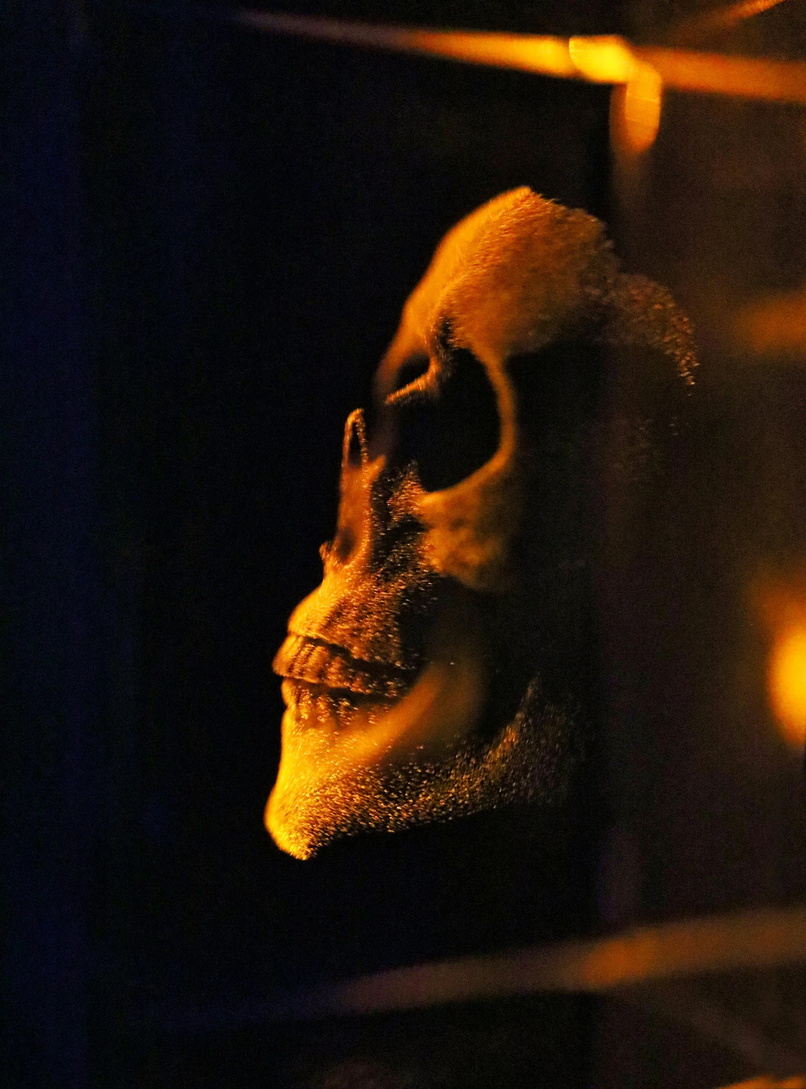 a close up of a skull in a glass case, an album cover, flickr, vanitas, close - up profile face, taken in the late 2000s, promo image, rick baker