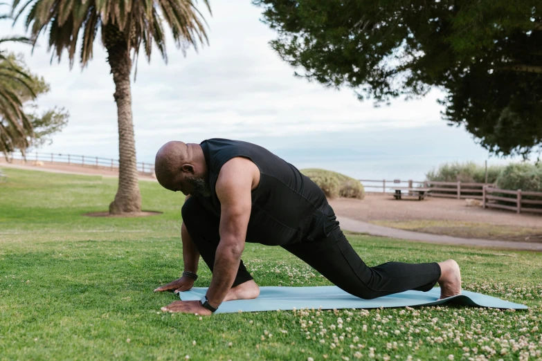 a man doing a yoga pose in a park, by Carey Morris, pexels contest winner, next to a plant, profile image, lunging at camera :4, temuera morrison