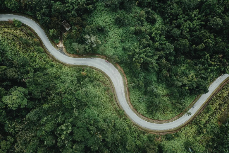 a winding road in the middle of a forest, pexels contest winner, hurufiyya, flying above a tropical forest, sustainable materials, motorbike, camera looking down upon