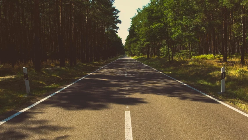 an empty road in the middle of a forest, an album cover, unsplash, multiple stories, handcrafted, wide greenways, retro stylised