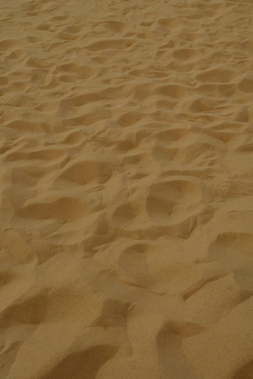 a man flying a kite on top of a sandy beach, by Adam Pijnacker, land art, very sparse detail, honey ripples, yellow carpeted, many holes