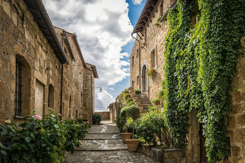 a narrow cobblestone street lined with potted plants, pexels contest winner, romanesque, medieval village on the plains, quintessa, skies behind, conde nast traveler photo