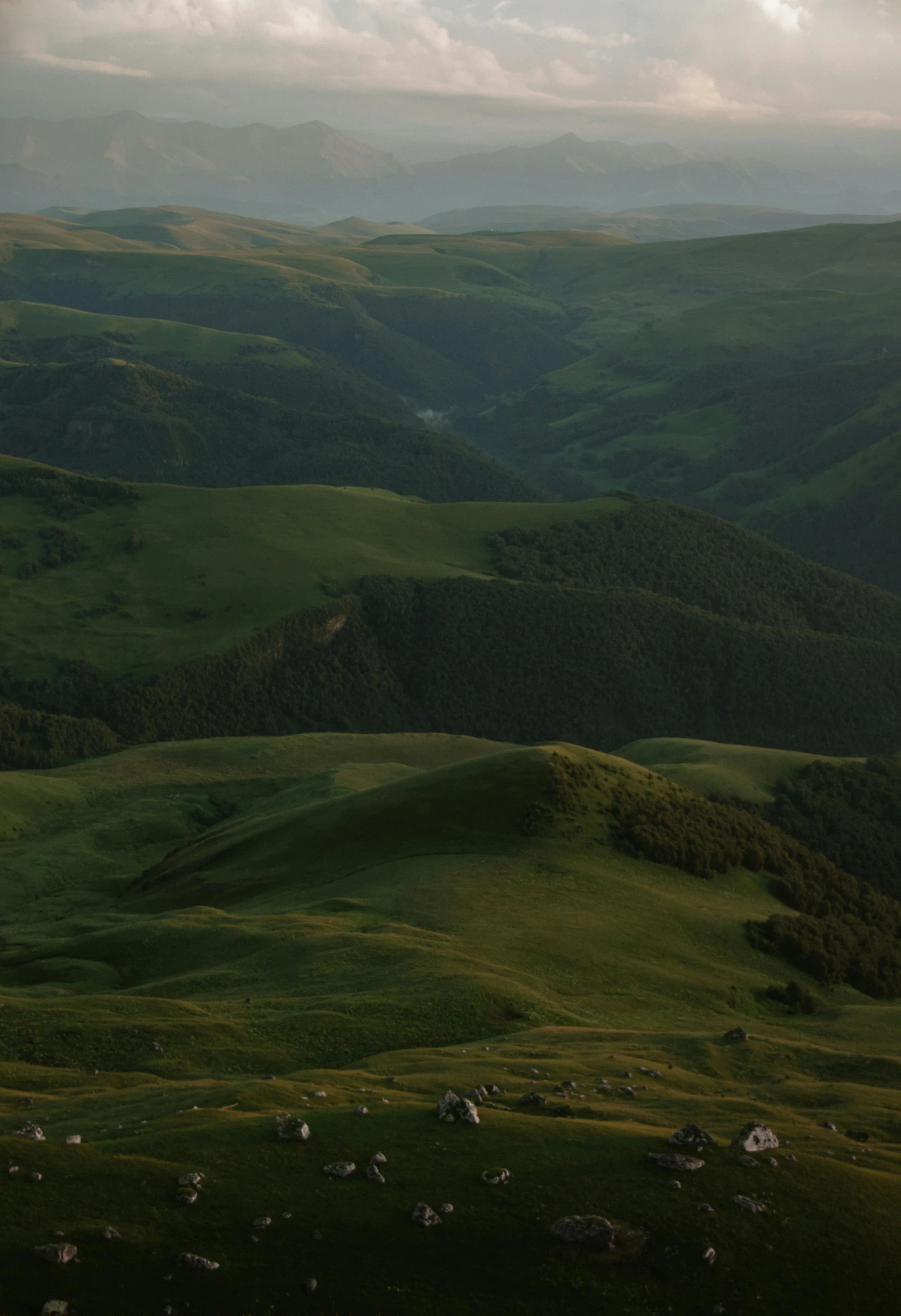 a group of sheep standing on top of a lush green hillside, by Muggur, les nabis, dusk light, alessio albi, gigapixel photo